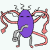 Avatar de kapelnica ot zapoya_rcPa